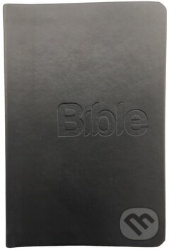 Kniha: Bible (Alexandr Flek). Biblion, 2019