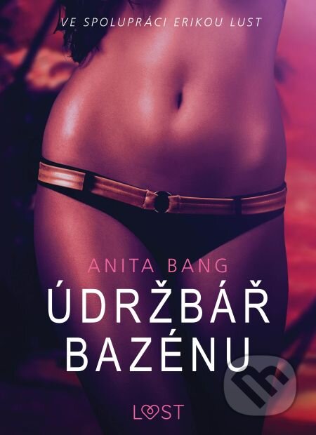 Údržbář bazénu – Sexy erotika - Anita Bang, Saga Egmont, 2019