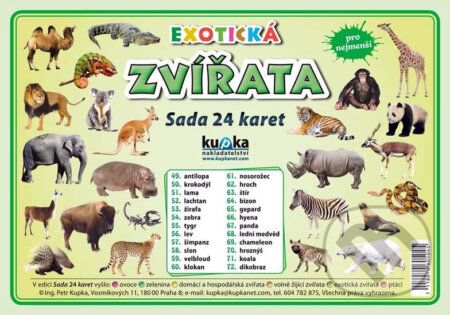 Exotická zvířata - Sada 24 karet - Petr Kupka - kniha z kategorie Mateřská škola a předškoláci