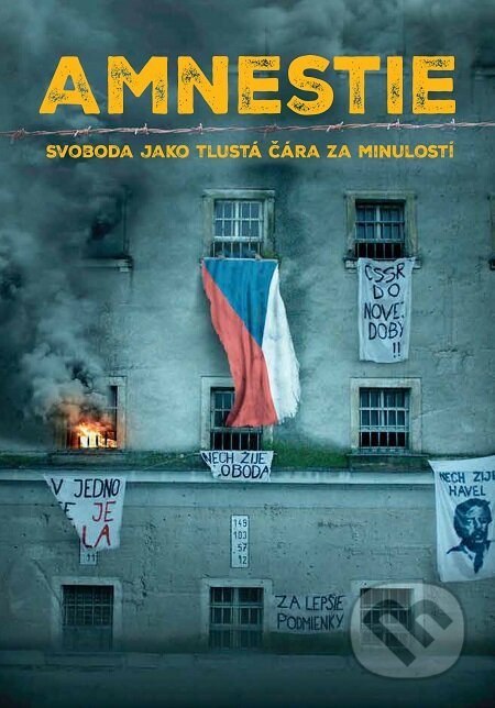 E-kniha: Amnestie (Slovart CZ)