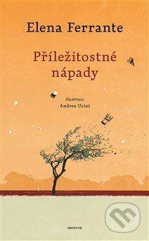 Příležitostné nápady - Elena Ferrante, Andrea Ucini (ilustrátor), Prostor, 2020