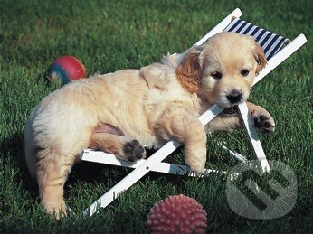 Puzzle: Relax (Ravensburger). Ravensburger
