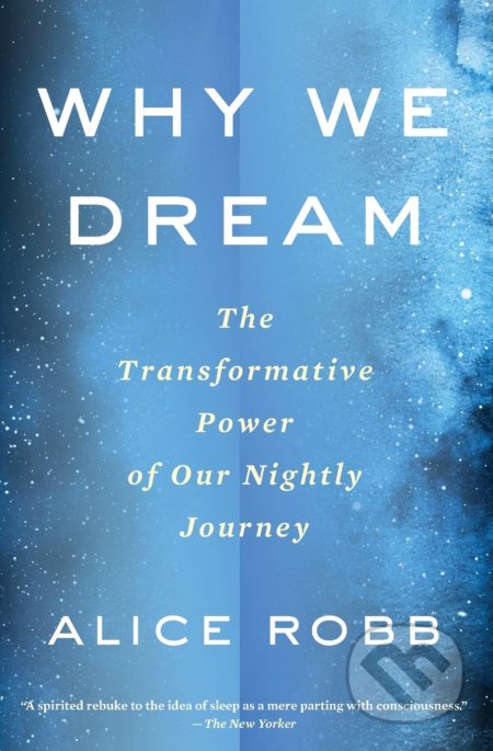 Why We Dream (The Transformative Power of Our Nightly Journey) - kniha z kategorie Psychologie