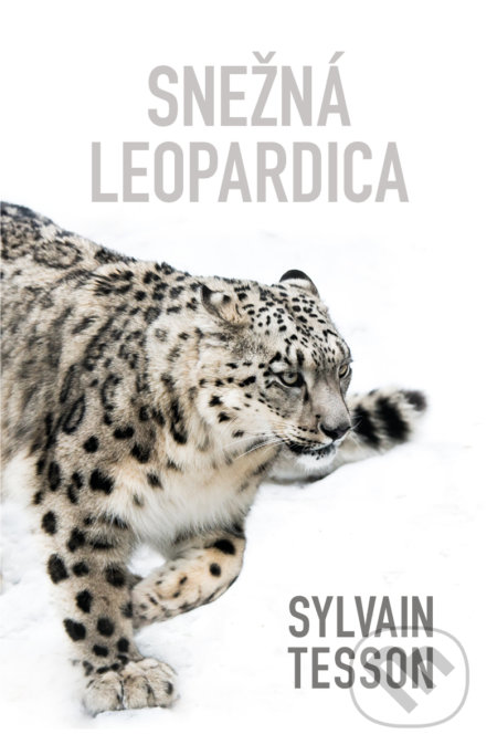 Snežná leopardica - Sylvain Tesson - kniha z kategorie Cestopisy z Asie