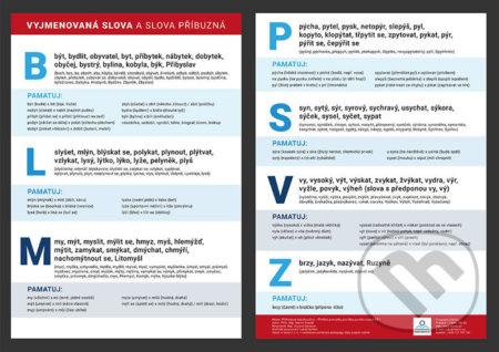 Vyjmenovaná slova a slova příbuzná (Přehledová tabulka učiva) - kniha z kategorie 1. stupeň