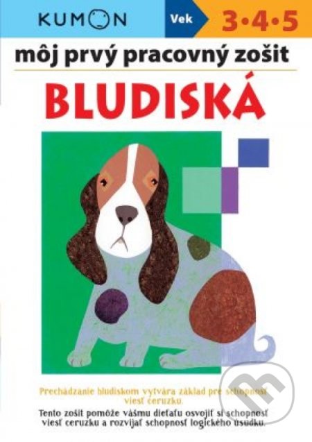 Môj prvý pracovný zošit: Bludiská, Svojtka&Co., 2020