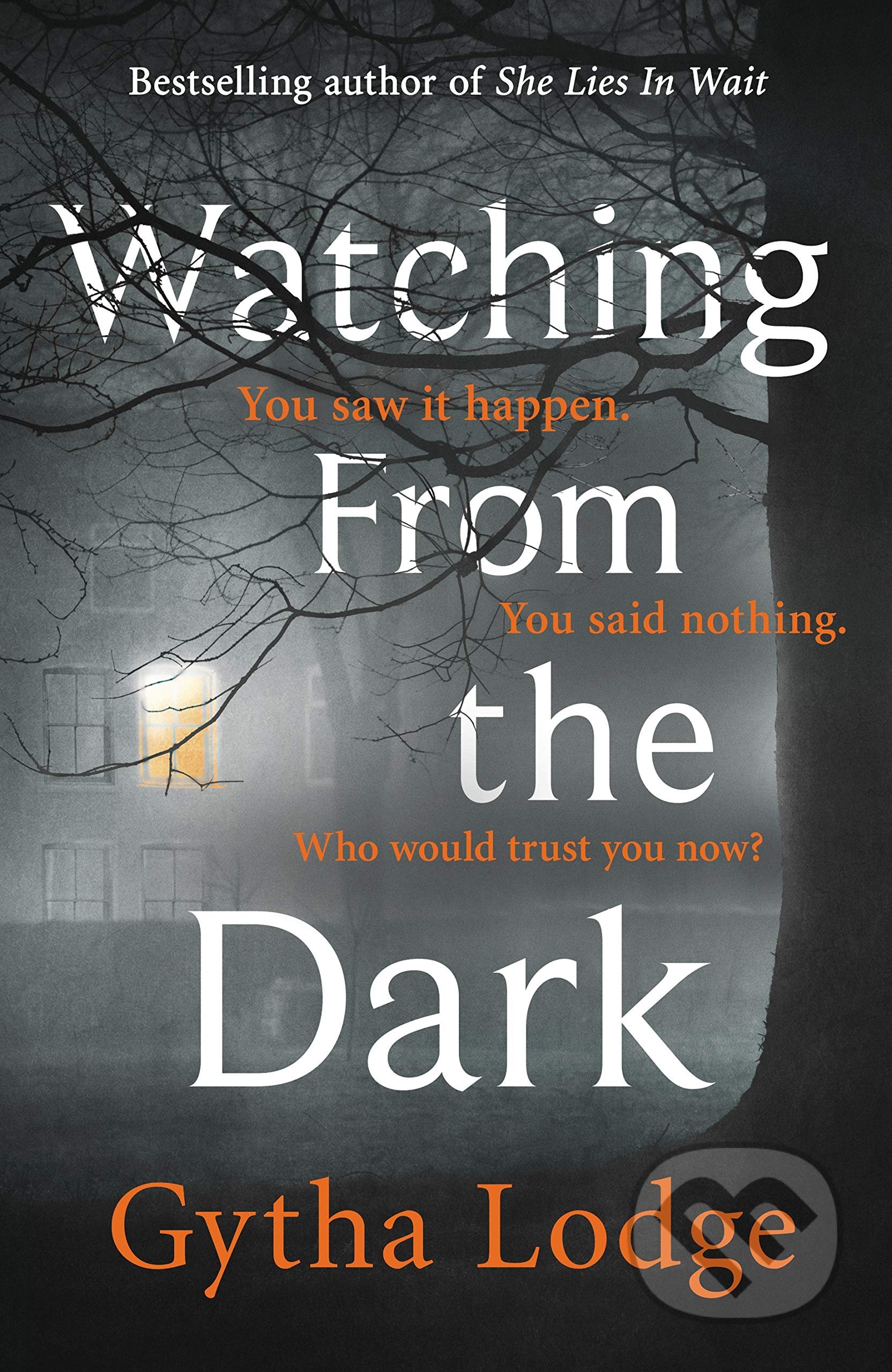 Watching from the Dark - Gytha Lodge - kniha z kategorie Detektivky, thrillery a horory