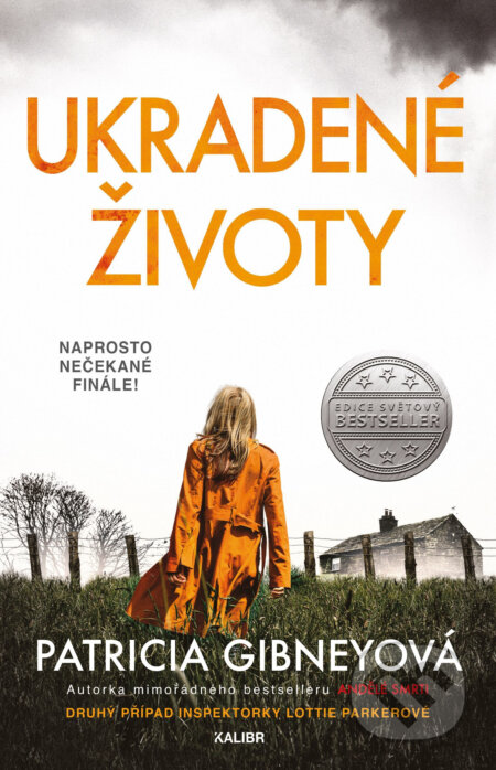 E-kniha: Ukradené životy (Patricia Gibney). Kalibr, 2019