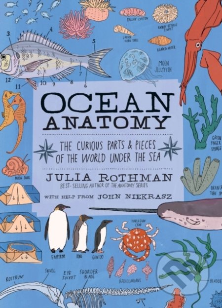 Ocean Anatomy - Julia Rothman, Storey Publishing, 2020