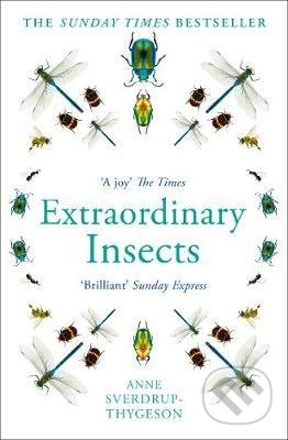 Extraordinary Insects - Anne Sverdrup-Thygeson, Mudlark, 2020