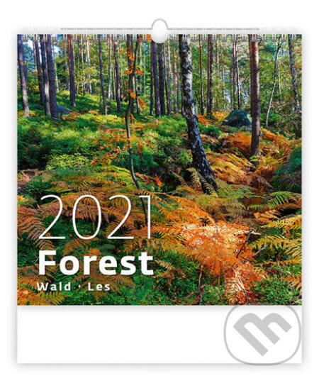 Forest/Wald/Les, Helma365, 2020