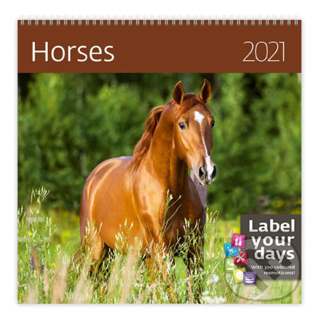 Horses, Helma365, 2020