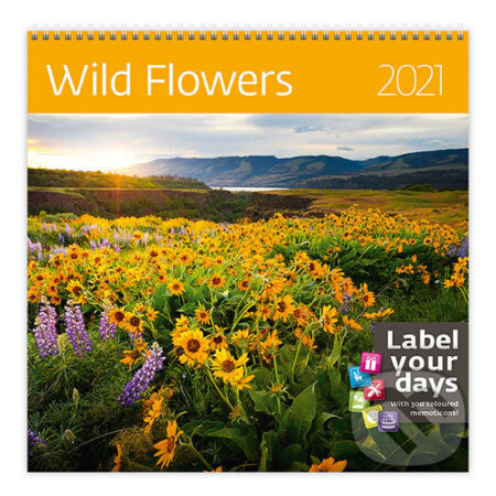 Wild Flowers, Helma365, 2020