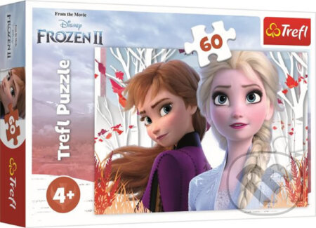 Ledové království 2: Kouzelný svět Anny a Elsy - puzzle z kategorie 15 - 60 dílků