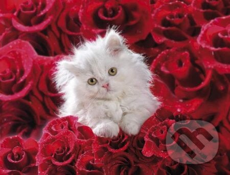 Mačka v ružiach, Clementoni