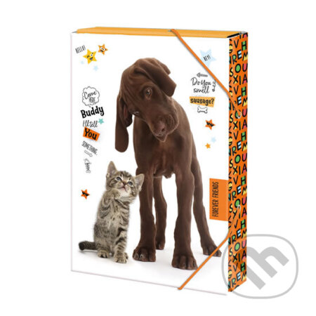 Box na sešity A4: Forever friends