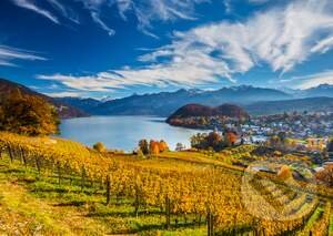 Vineyards - puzzle z kategorie Přírodní scenérie