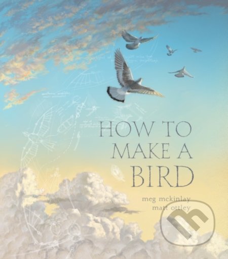 How to Make a Bird - Meg McKinlay, Matt Ottley (ilustrácie) - kniha z kategorie Pro děti