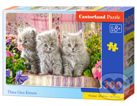 Three Grey Kittens, Castorland, 2020