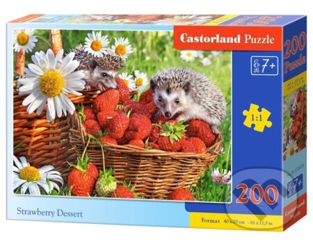 Strawbeery Dessert, Castorland, 2020