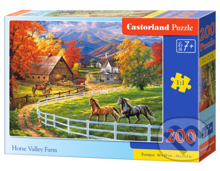 Horse Valley Farm, Castorland, 2020