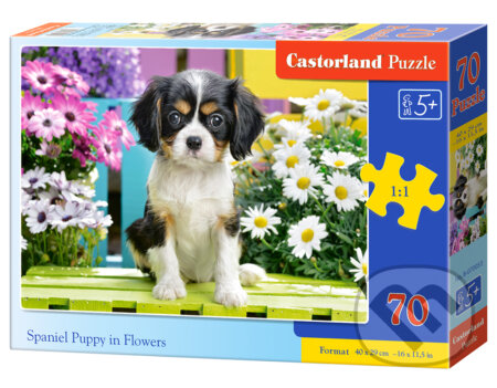 Spaniel Puppy in Flowers, Castorland, 2020