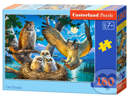Owl Family, Castorland, 2020