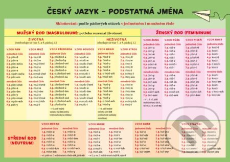 Český jazyk – Podstatná jména - Zuzana Hladíková - kniha z kategorie Jazykové učebnice a slovníky