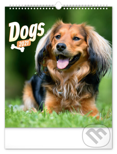 Nástěnný kalendář Dogs 2021, Presco Group, 2020