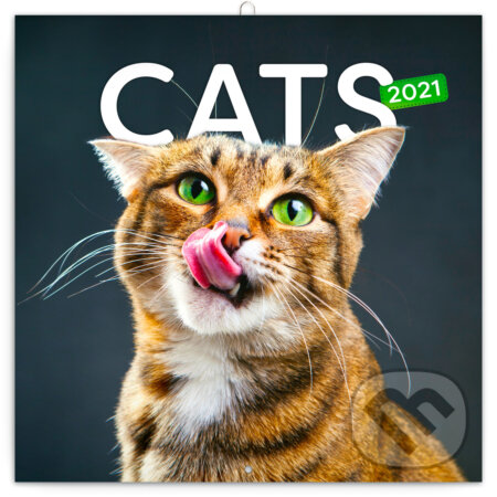 Poznámkový kalendář Cats (Kočky) 2021, Presco Group, 2020