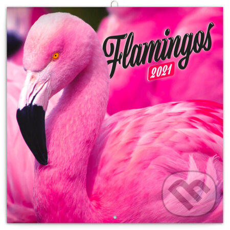 Poznámkový kalendáŕ Flamingos 2021 (plameňáci), Presco Group, 2020
