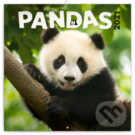 Poznámkový kalendář Pandas 2021, Presco Group, 2020