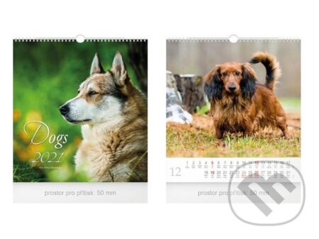 Malý Dogs - nástěnný kalendář 2021, MFP, 2020