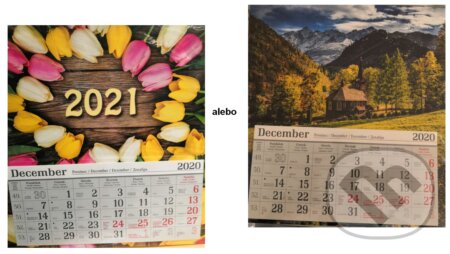 3-mesačný nástenný kalendár 2021 (mix), Spektrum grafik, 2020