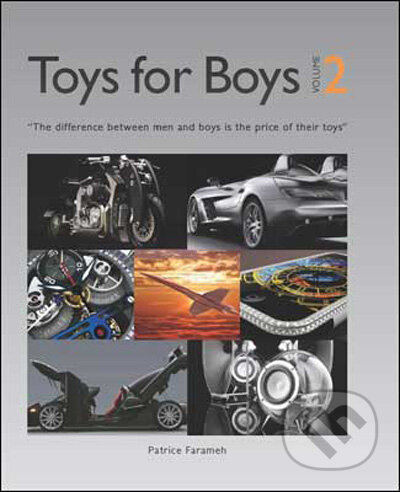 Toys for Boys 2 - Patrice Farameh, Tectum, 2009