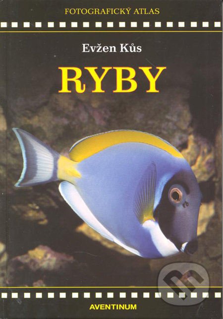Ryby - Evžen Kůs