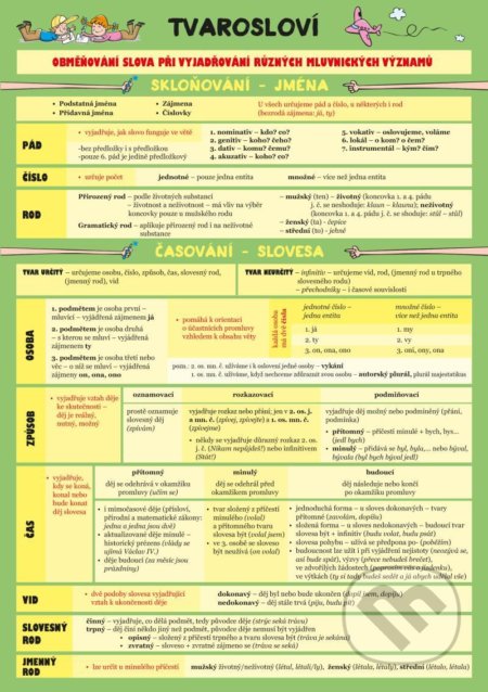 Český jazyk – Tvarosloví - Zuzana Hladíková - kniha z kategorie Jazykové učebnice a slovníky