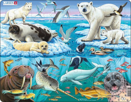 Arktický ľad (FH11) - puzzle z kategorie Naučné puzzle