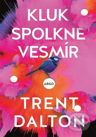 E-kniha: Kluk spolkne vesmír (Trent Dalton)