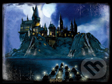 Puzzle 3D obraz Harry Potter: Noc v Bradaviciach (Harry Potter)