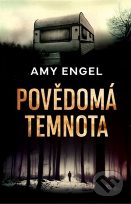 Povědomá temnota - Amy Engel - kniha z kategorie Detektivky, thrillery a horory