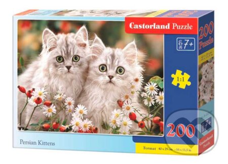 Persian Kittens, Castorland, 2020