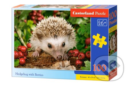 Hedgehog with Berries, Castorland, 2020