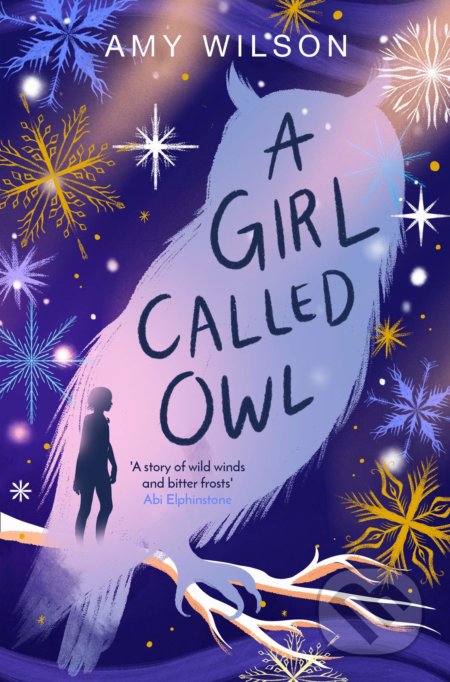 A Girl Called Owl - Amy Wilson - kniha z kategorie Sci-fi, fantasy a komiksy
