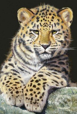 Malý leopard, Schmidt
