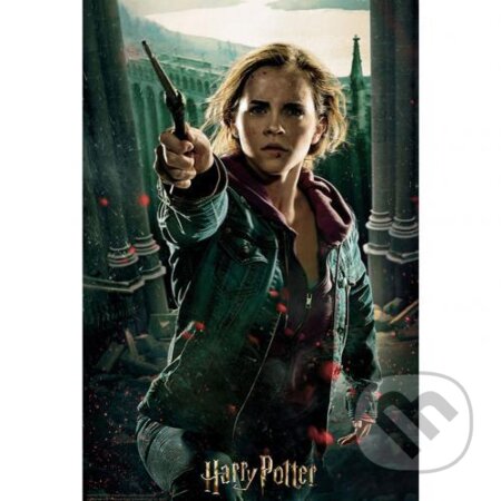 3D puzzle Harry Potter: Hermione, Harry Potter, 2020