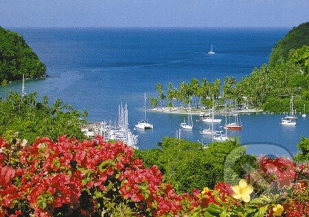 St. Lucia, Karibik, Schmidt