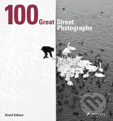 100 Great Street Photographs - David Gibson - kniha z kategorie Fotografie