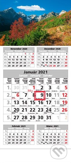 Štandard 5-mesačný sivý nástenný kalendár 2021 - jesenná krajina, Spektrum grafik, 2020