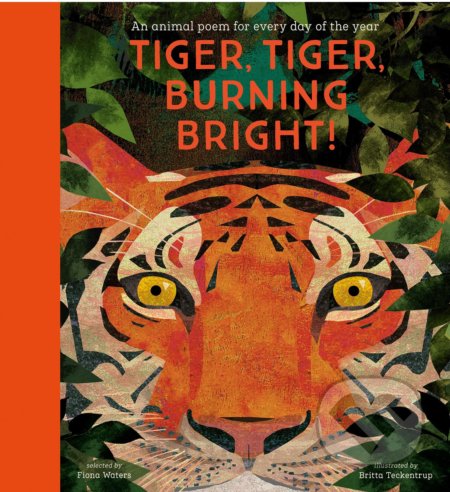 Tiger, Tiger, Burning Bright! - Fiona Waters, Nosy Crow, 2020